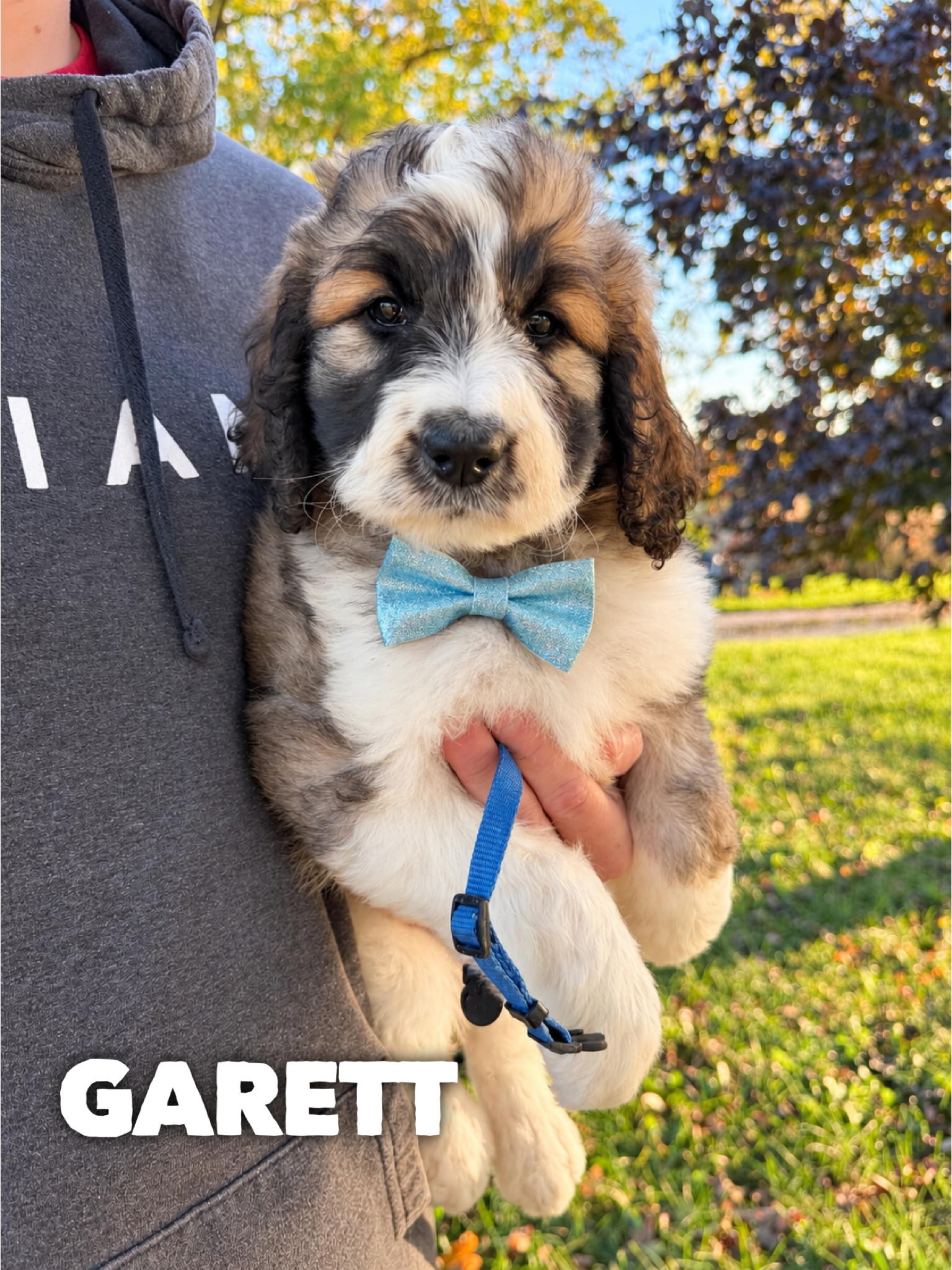 Garret 1